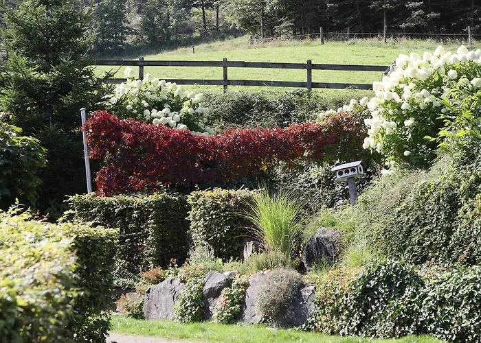 Familie Schauerte Lägenhet *